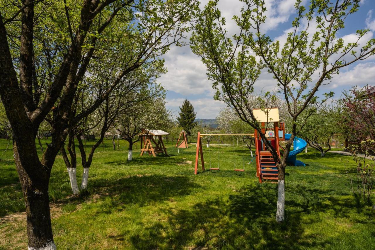 Pensiunea Coronita Вишово-Вижнє Екстер'єр фото